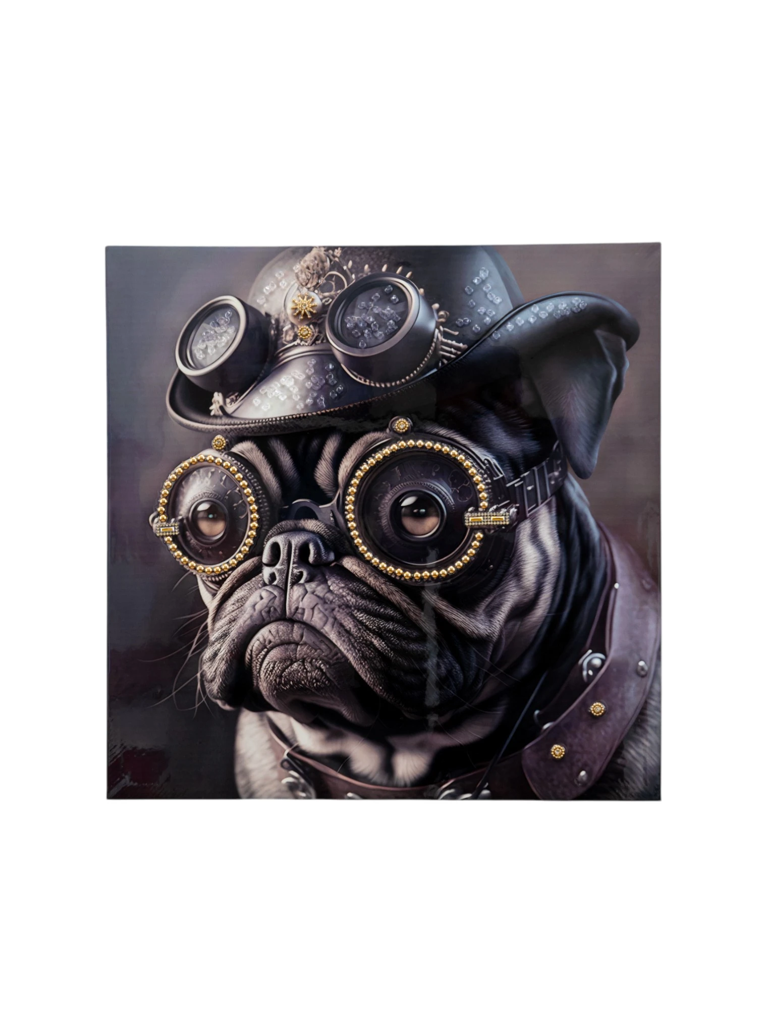 FRAME BULLDOG WITH GLASSES HIGH GLOSSY