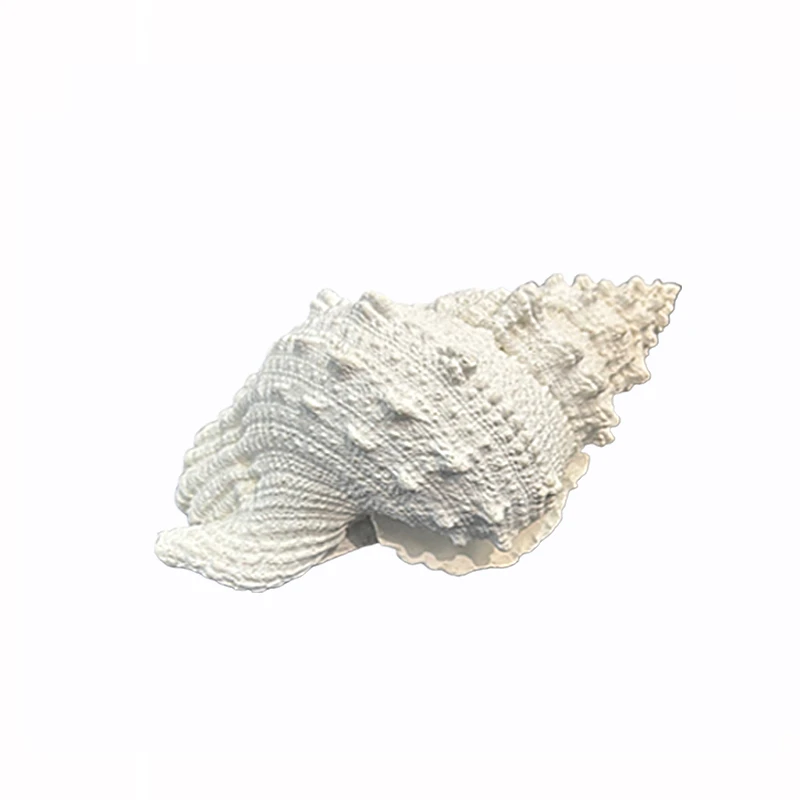 RESIN DECORATIVE WHITE SEA HARP SHELL