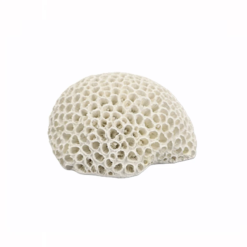 RESIN DECORATIVE WHITE SEA CORAL BRAIN