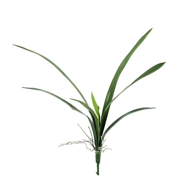 ARTIFICIAL FABERI LEAF WITH ROOTS