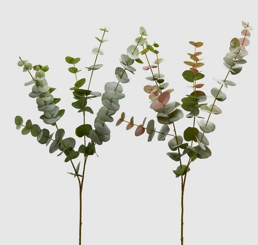 EUCALYPTUS GREEN/PURPLE OLIS BRANCH