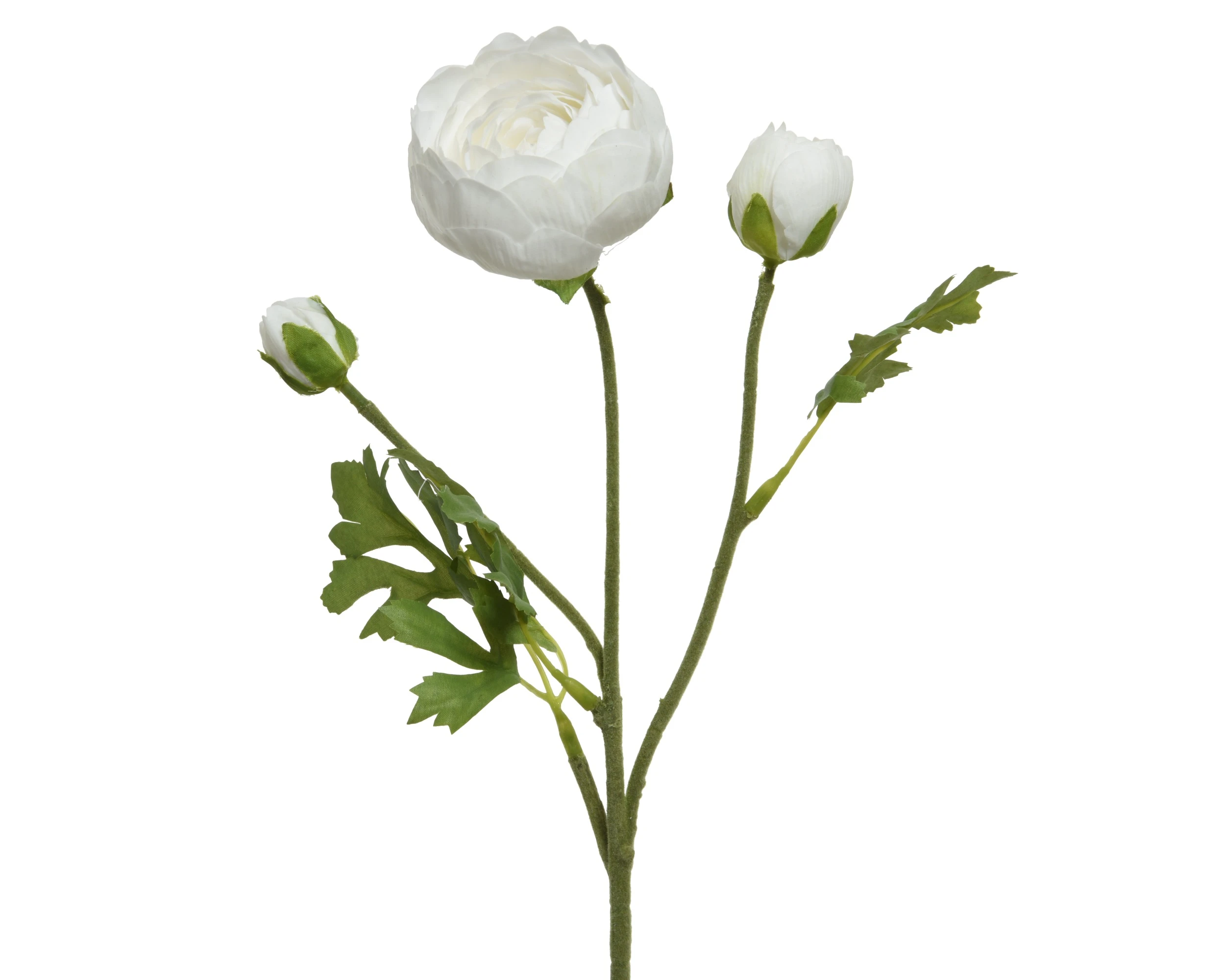 WHITE RANUNCULUS ON STEM POLYESTER REAL TOUCH