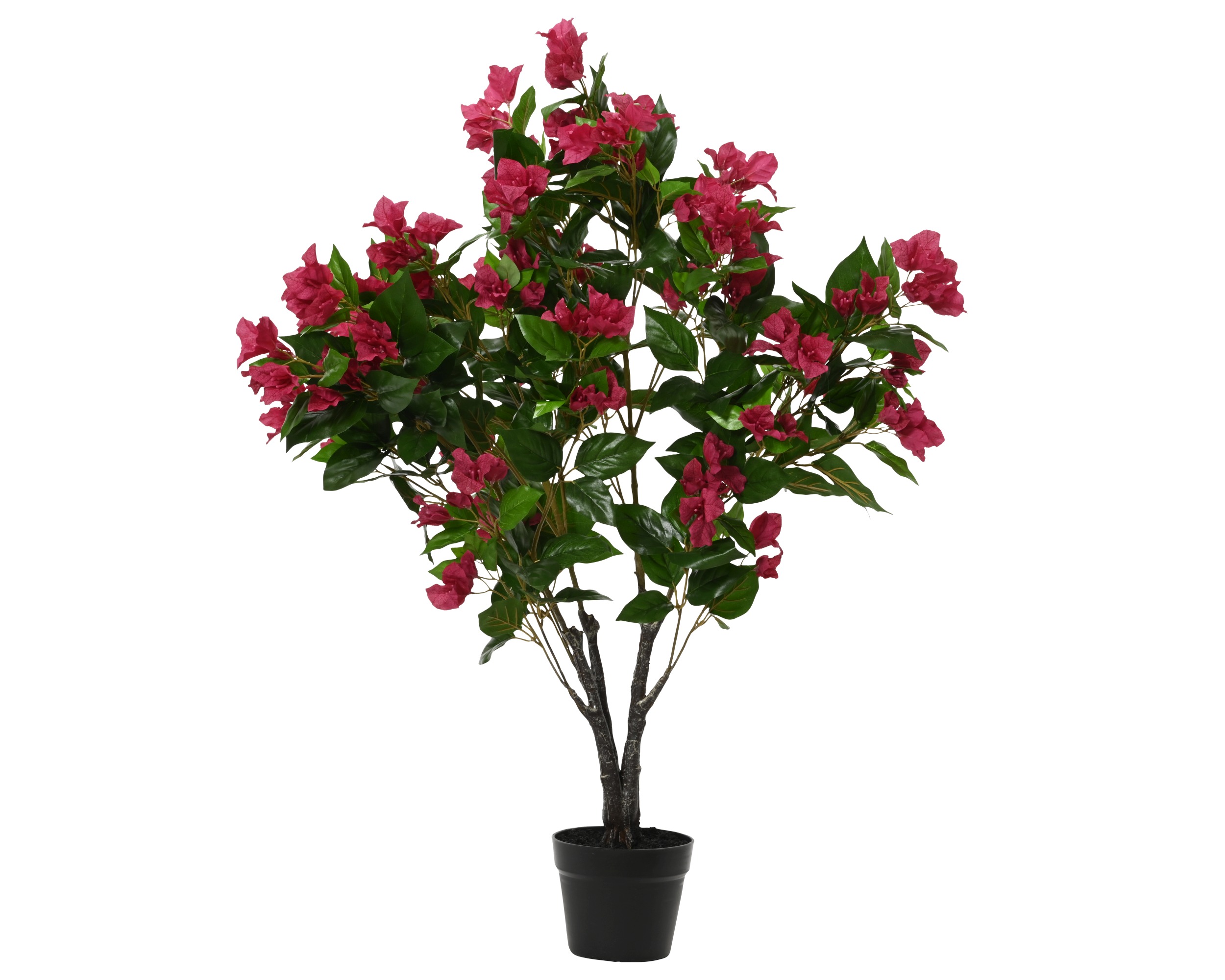 FUCHSIA BOUGAINVILLEA POLYESTER IN POT