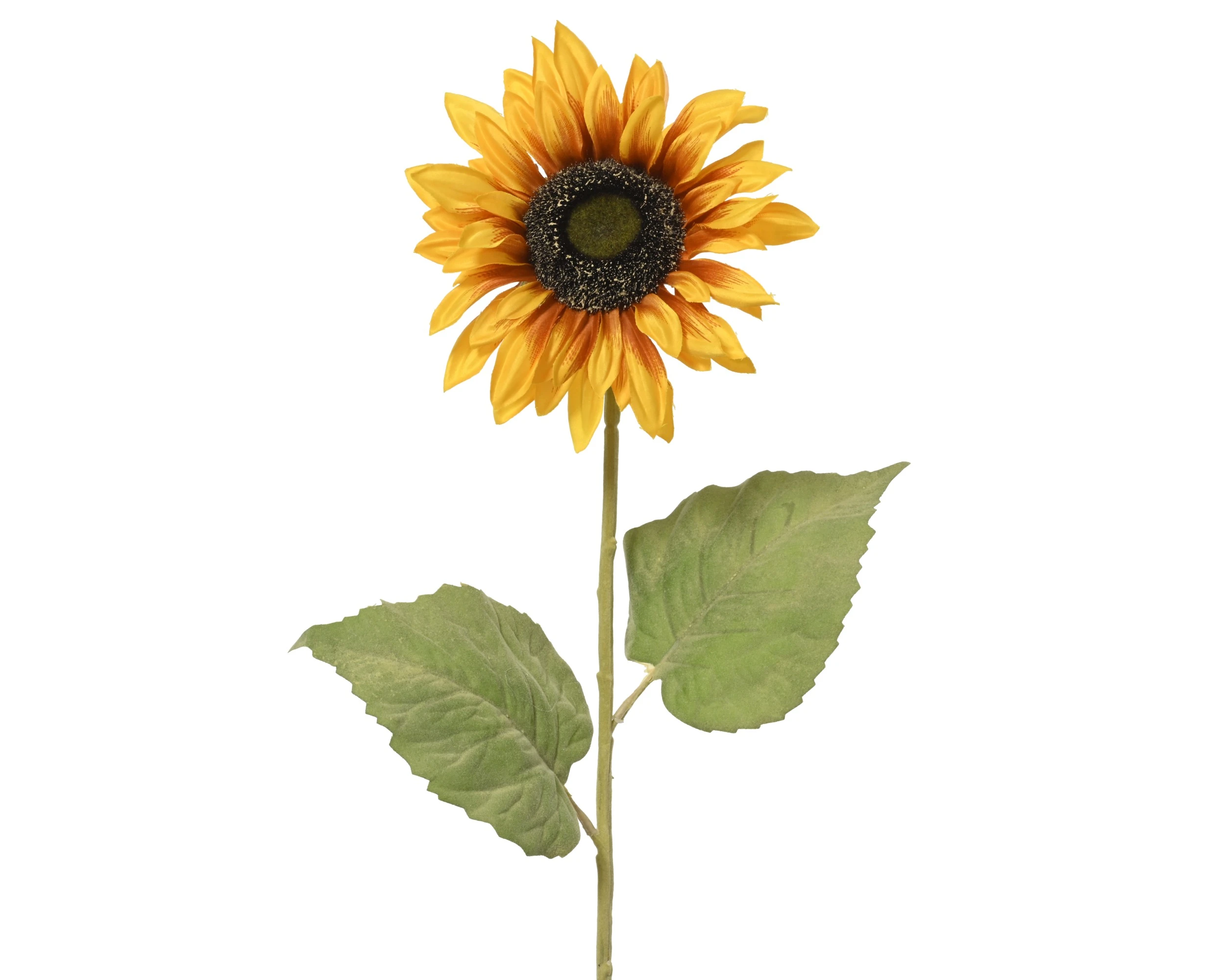 YELLOW SUNFLOWER ON STEM