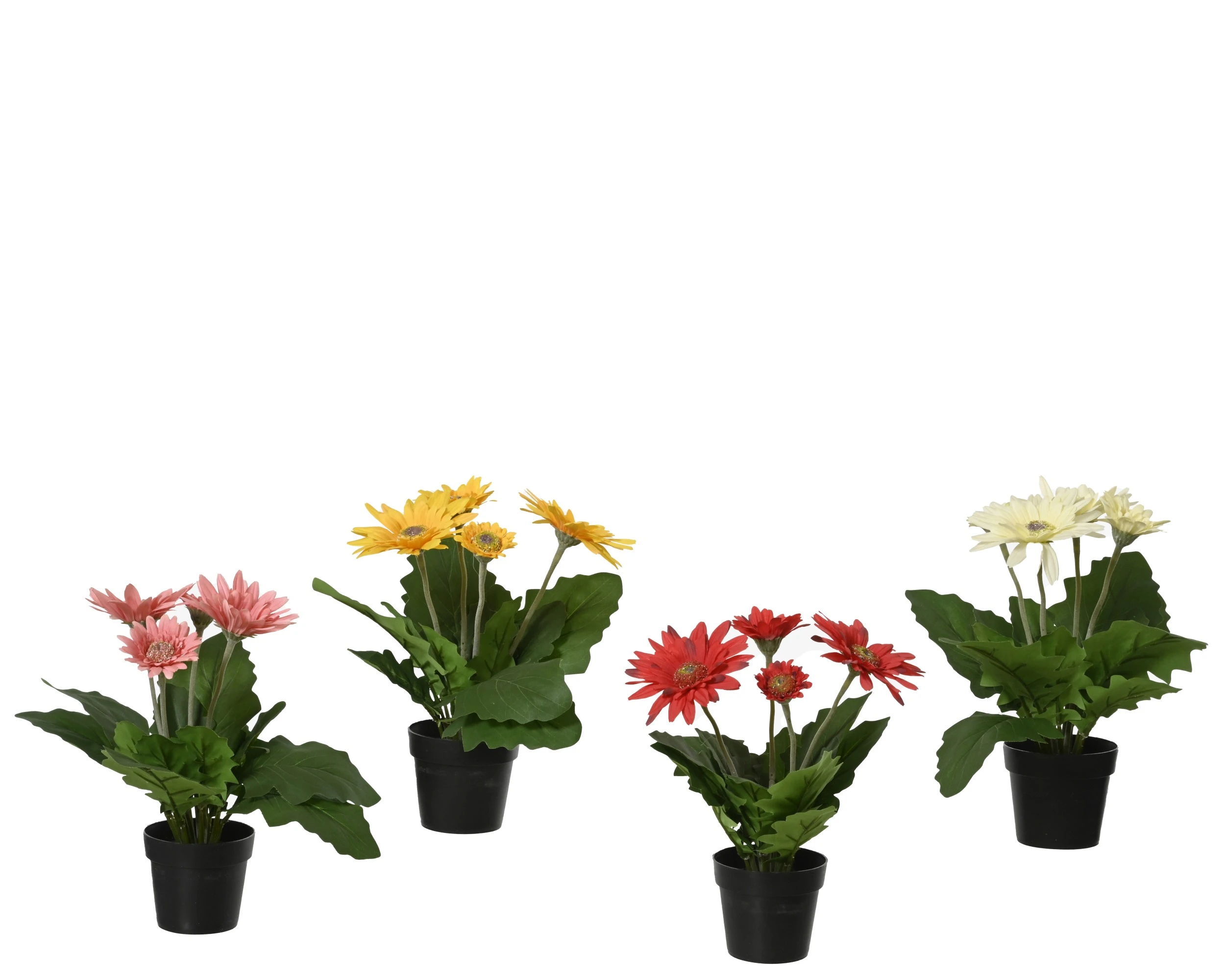 PLANT GERBERA POLYESTER IN POT