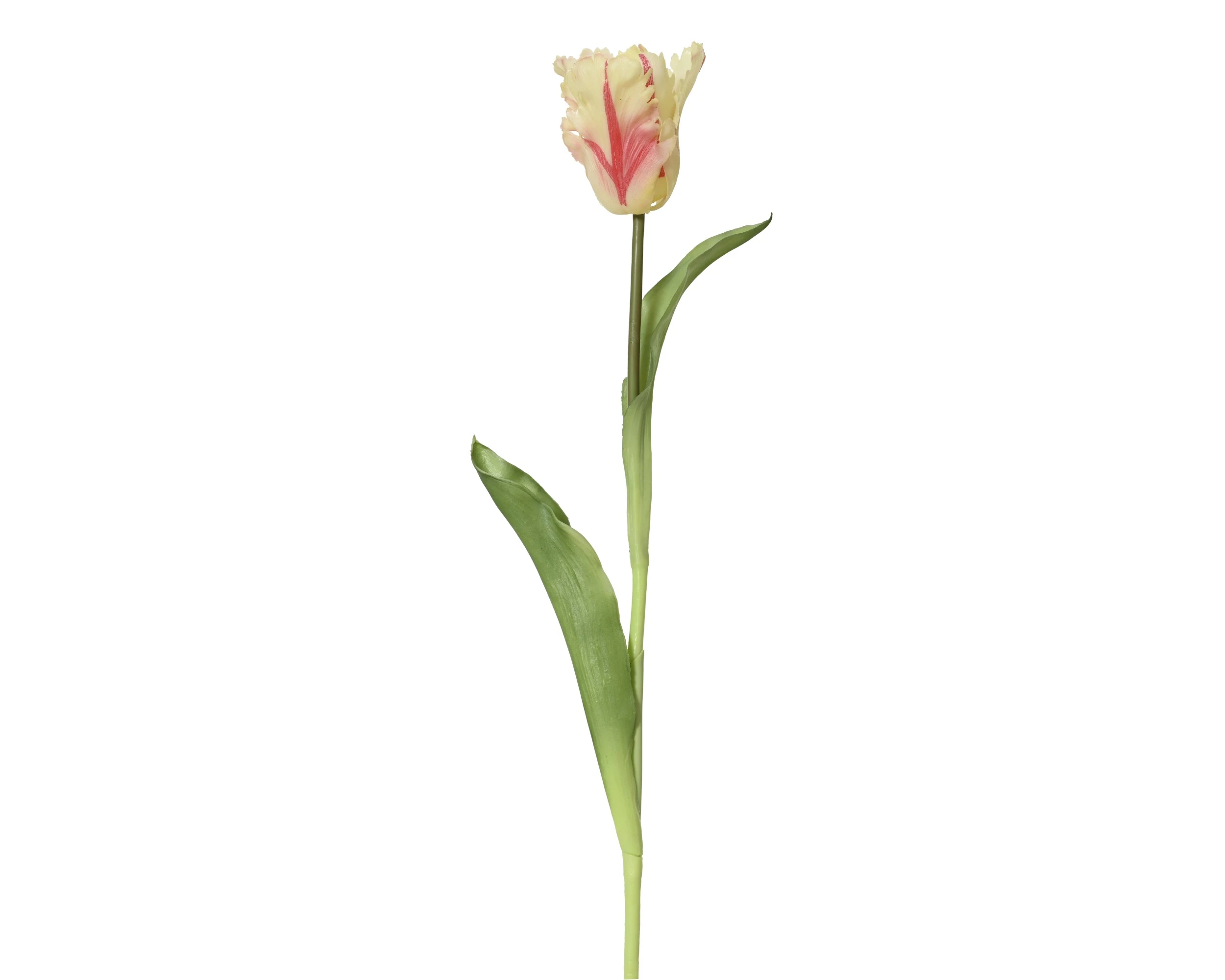 YELLOW TULIP REAL TOUCH