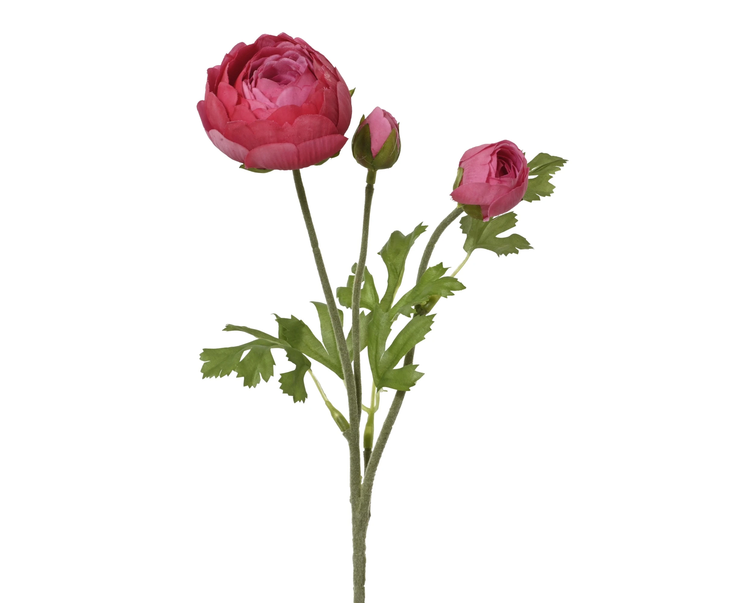 DARK PINK RANUNCULUS POLYESTER ON STEM