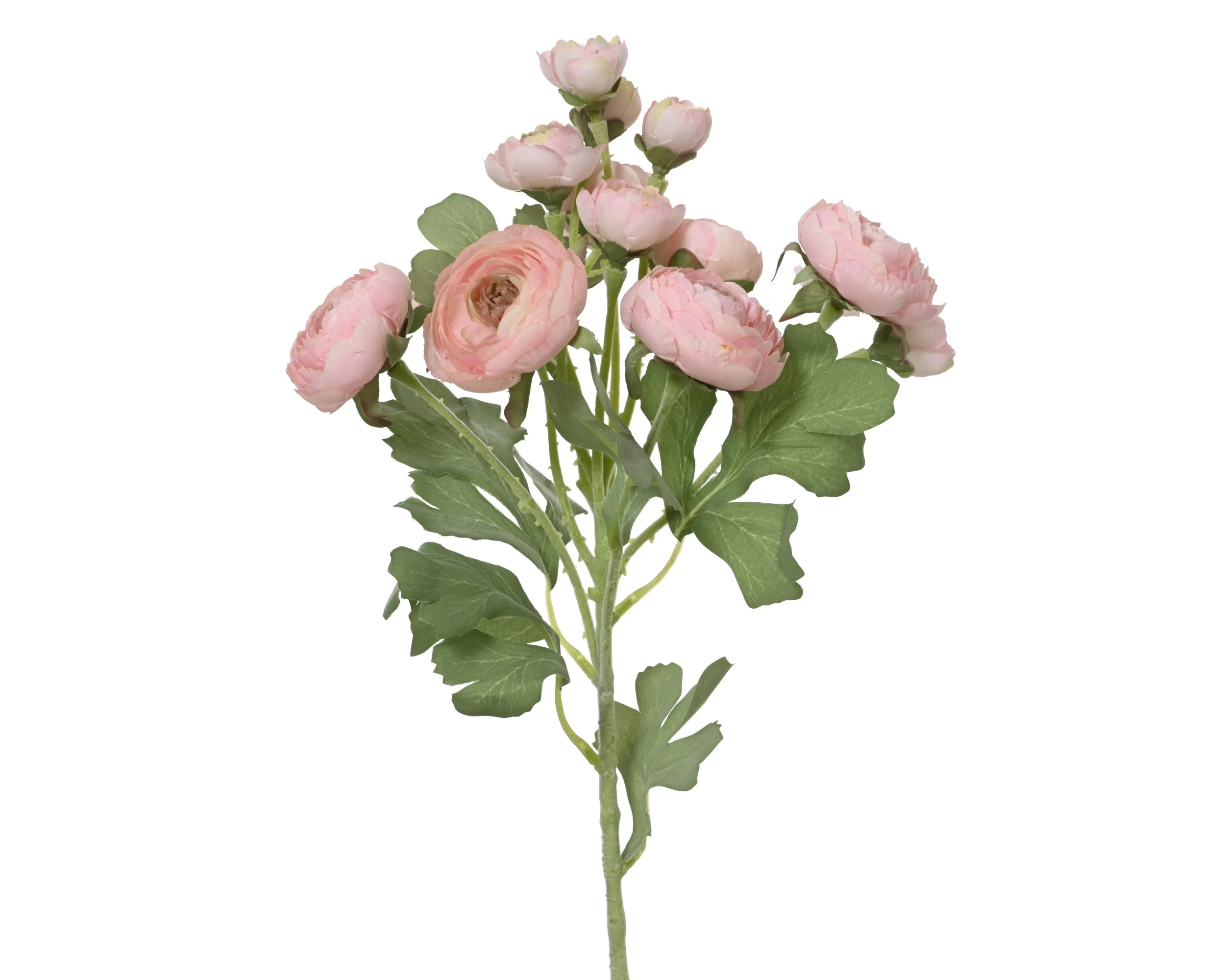 SOFT PINK  RANUNCULUS POLYESTER ON STEM