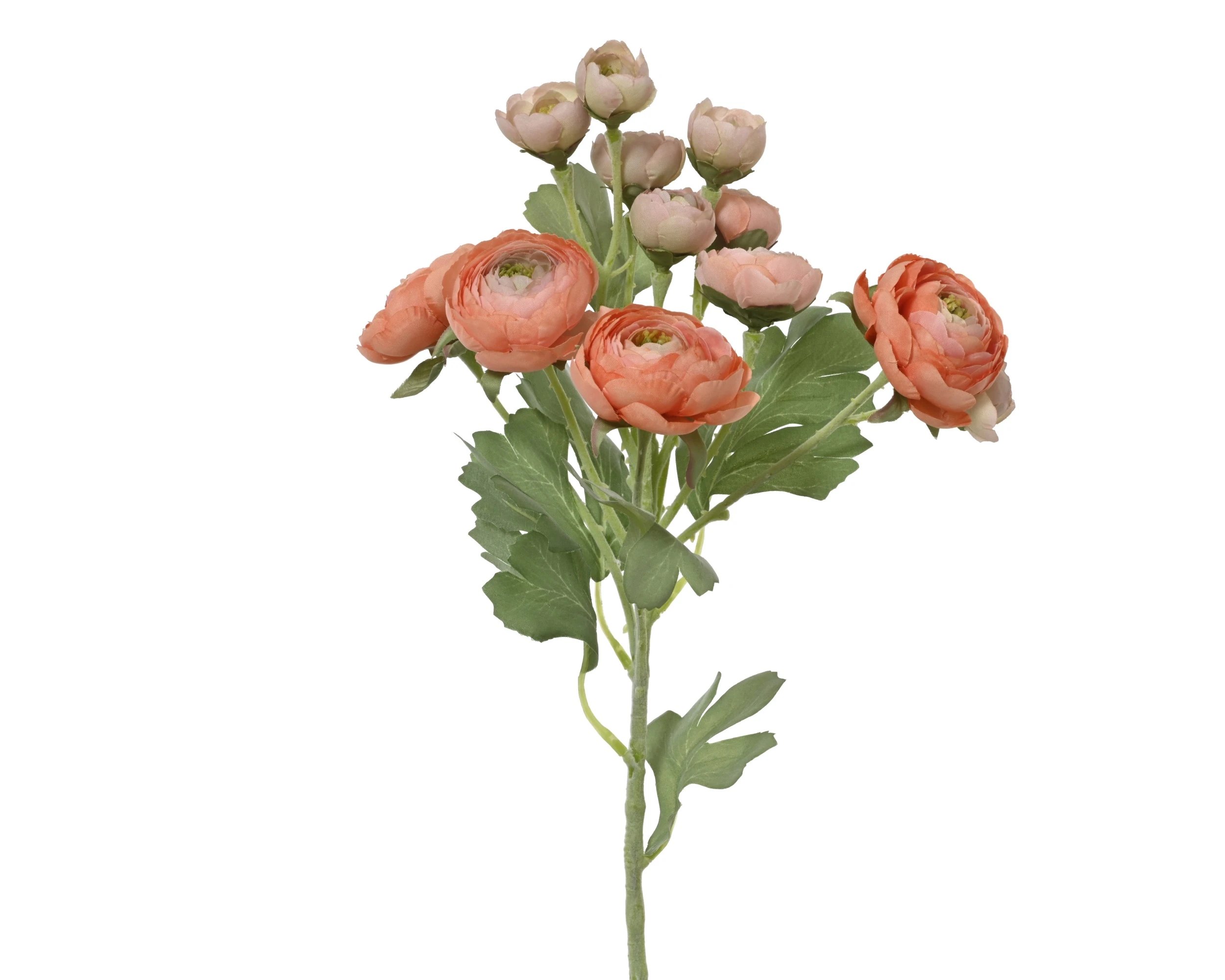 PEACH RANUNCULUS POLYESTER ON STEM