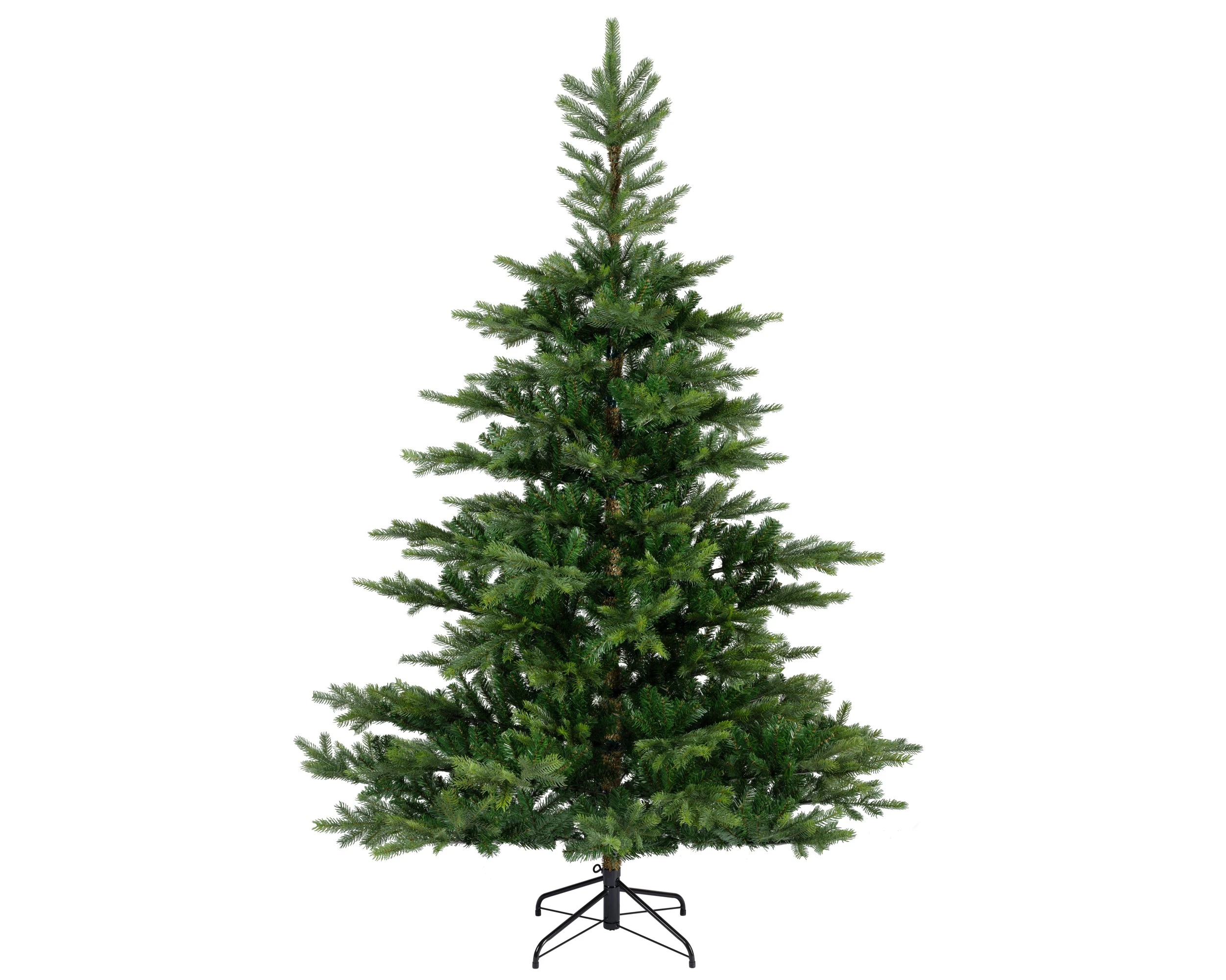 GRANDIS FIR GRN D182XH300CM