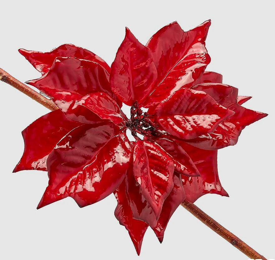 POINSETTIA GLOSSY BURGUNDY CLIP