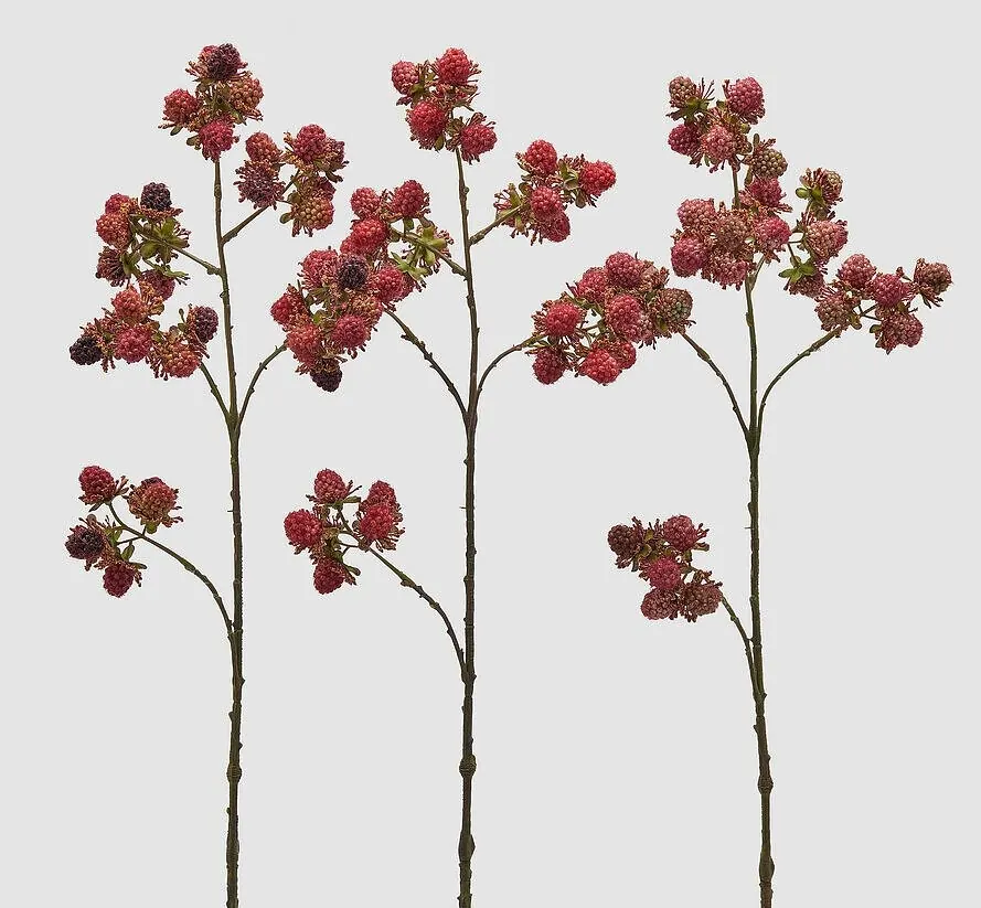 BLACKBERRY REX MIX BRANCH A/B/C