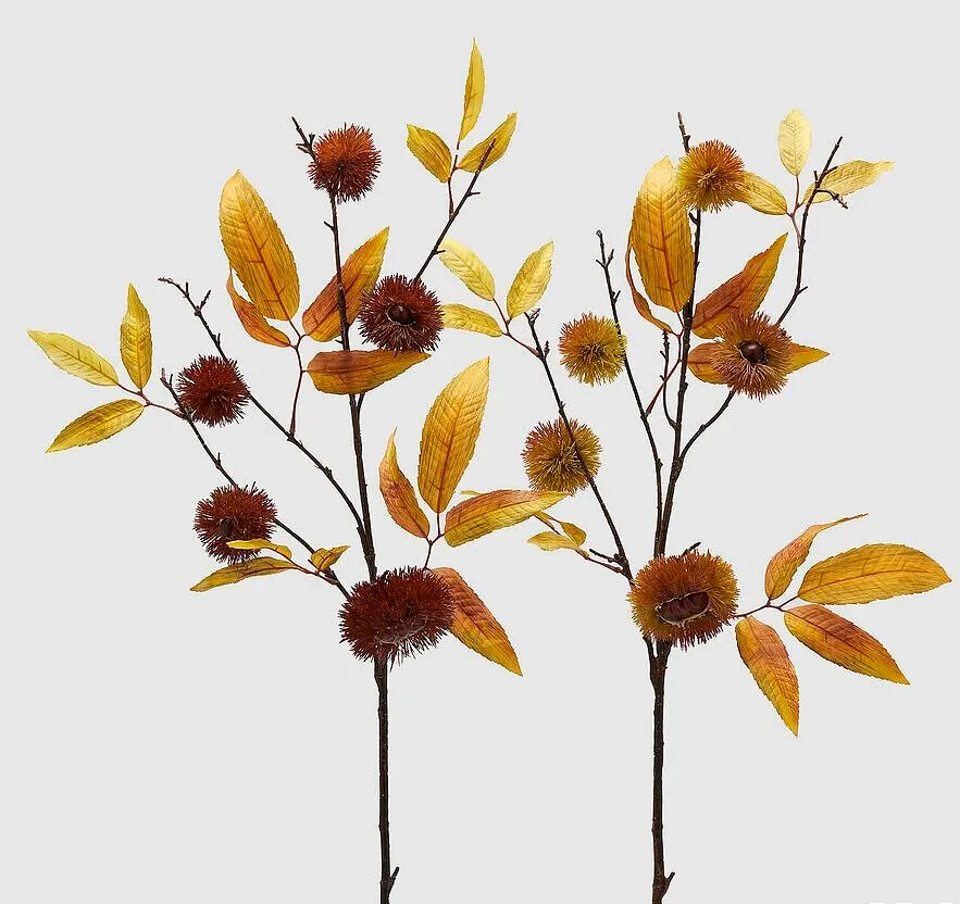 CHESNUT BRANCH AUTUMN LEAVES