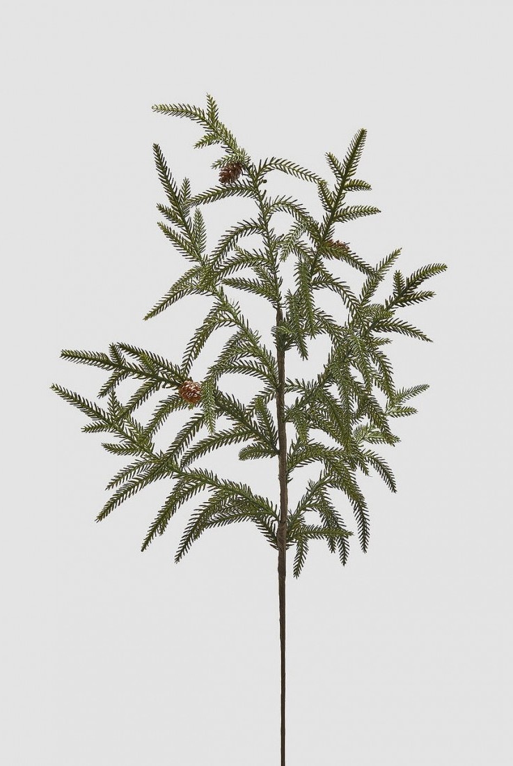 CRYPTOMERIA GREEN