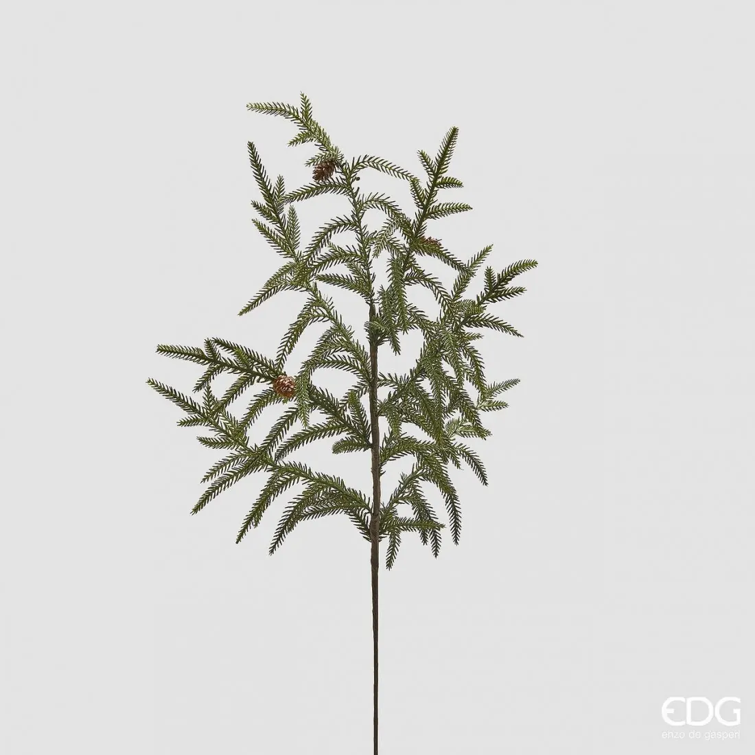 cryptomeria-branch-h68-c5