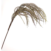 SNOWY GREEN PICK H.110CM