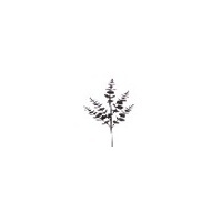 83CM BLACK GLITTER BRANCH WITH LEAVES